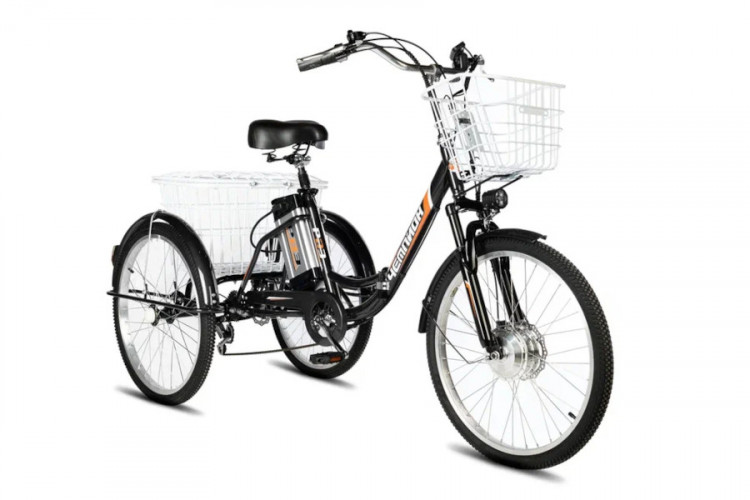 Электровелосипед РВЗ Чемпион 24 складной в Челябинске