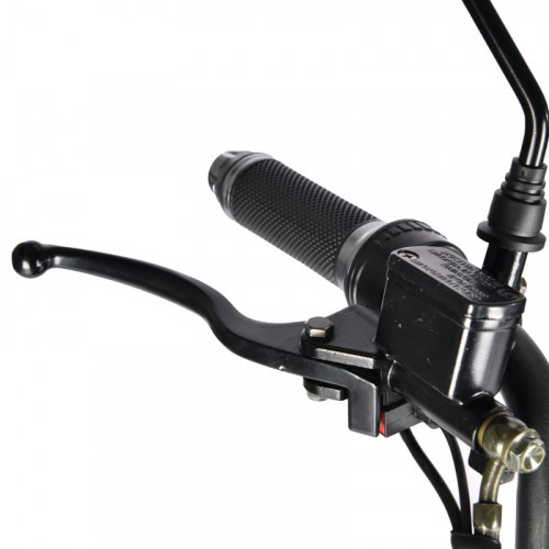 Электроскутер White Siberia TRIKE MINI 1500W в Челябинске