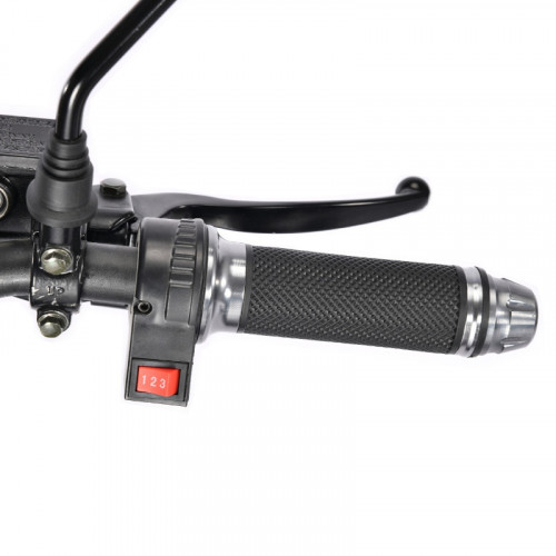 Электроскутер White Siberia TRIKE MINI 1500W в Челябинске