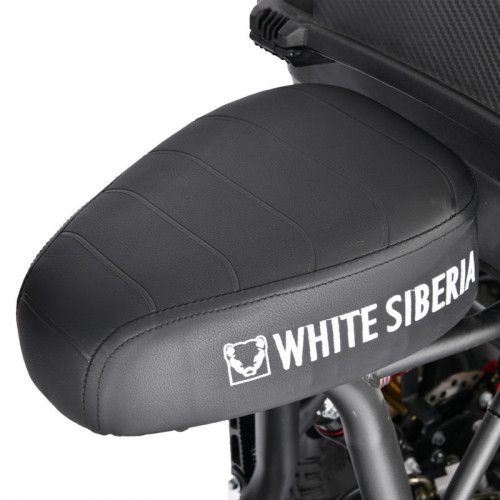Электроскутер White Siberia TRIKE MINI 1500W в Челябинске