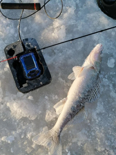 Эхолот Практик 8 в Челябинске