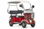 Пассажирский электротрицикл Rutrike Gelbert Hara в Челябинске