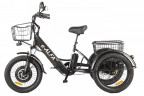 Электрофэтбайк Eltreco Green City e-ALFA Trike в Челябинске