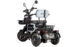 Электротрицикл Wanshida UN MOTO в Челябинске