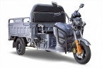 Грузовой электрический трицикл RuTrike Дукат 1500 в Челябинске