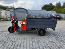 Грузовой электрический трицикл Pаntеrа Гидрaвлика 75V1500W в Челябинске