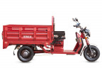 Грузовой электрический трицикл Rutrike Антей Pro 1500 в Челябинске